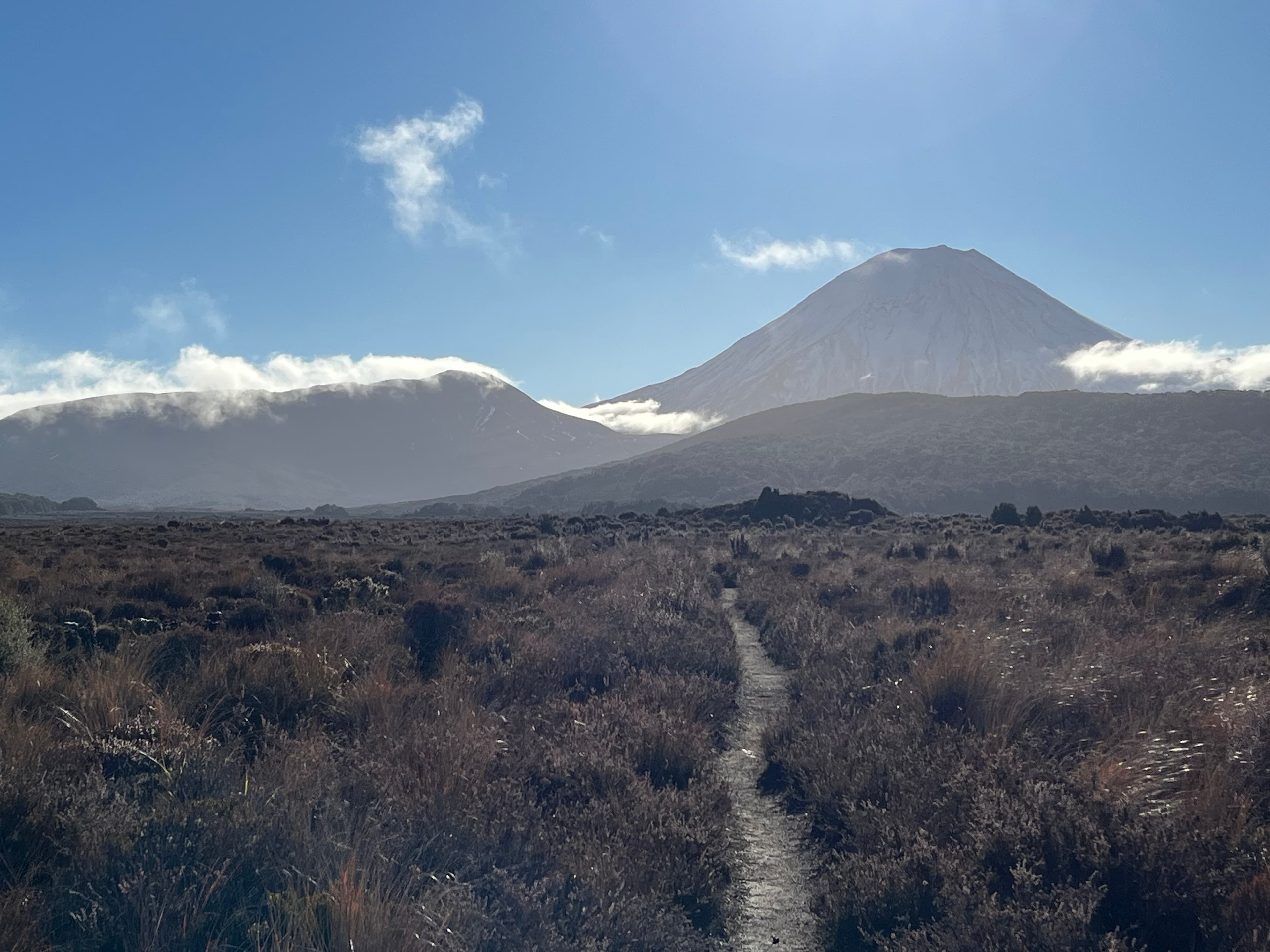 Mt Ngāuruhoe rising above tussock in Tongariro National Park